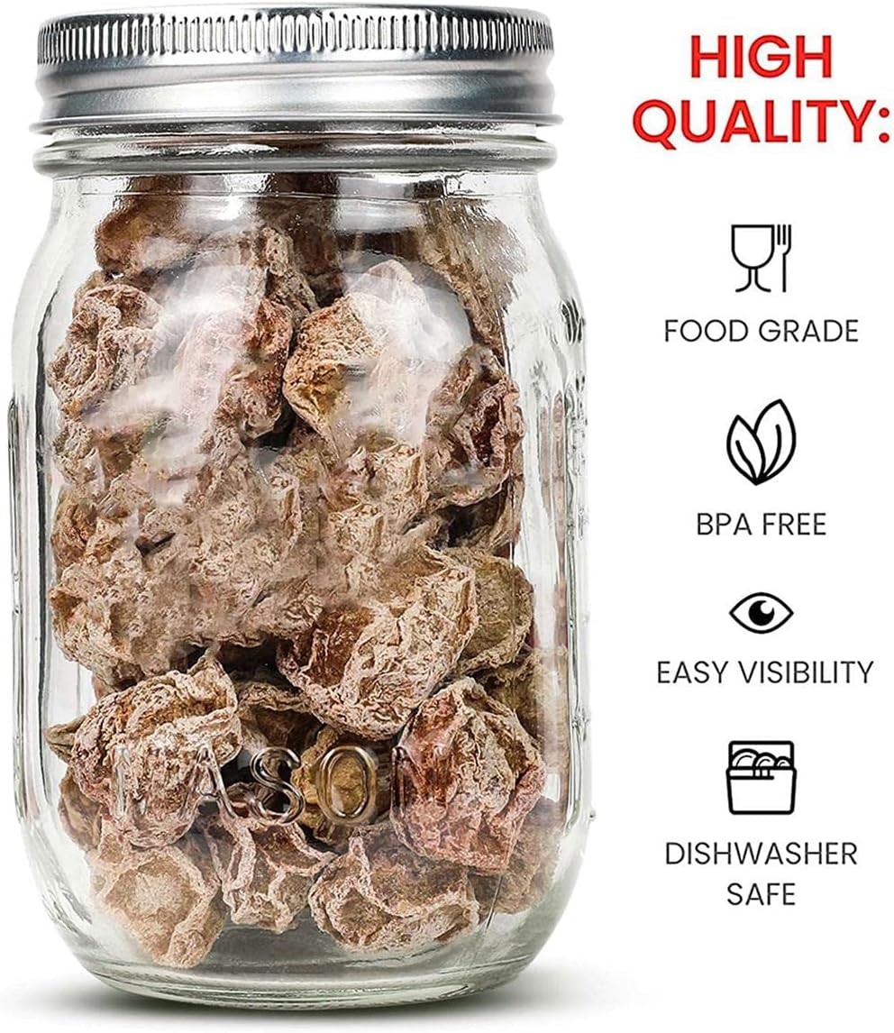 Tebery 12 Pack Ball Mason Jars 16 oz Mason Jars with Regular Mouth Canning Glass Jars with Lids
