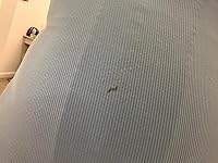 Review Image by Cristal Cristal