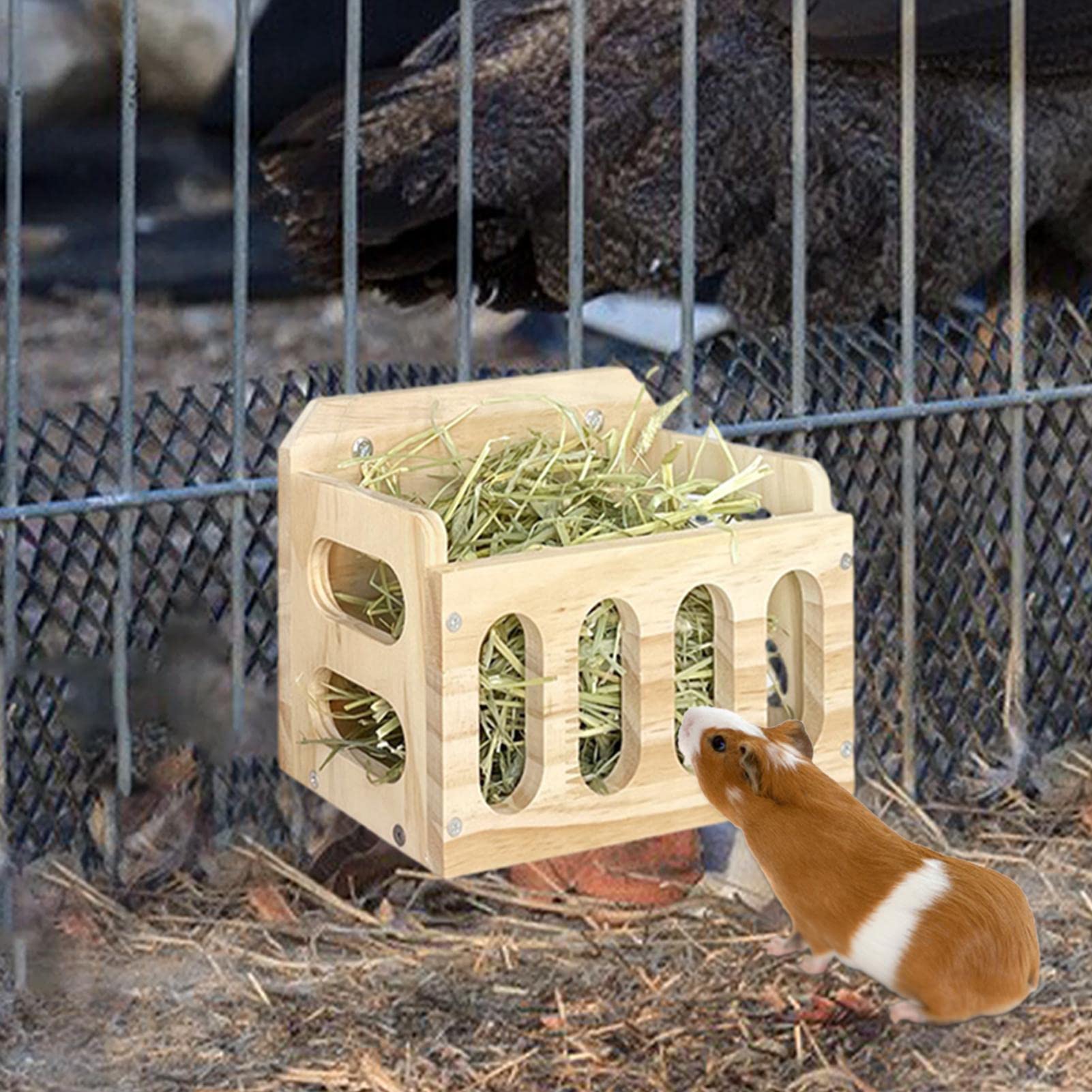 Distributeur de Foin | Râtelier à Foin en Bois pour cochons d'Inde - Distributeur de Nourriture pour Lapin, Lapin et cobaye, Distributeur de Nourriture pour Petits Animaux
