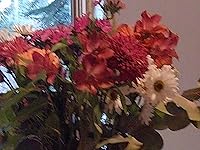 Review Image by Happy Homesteader Happy Homesteader