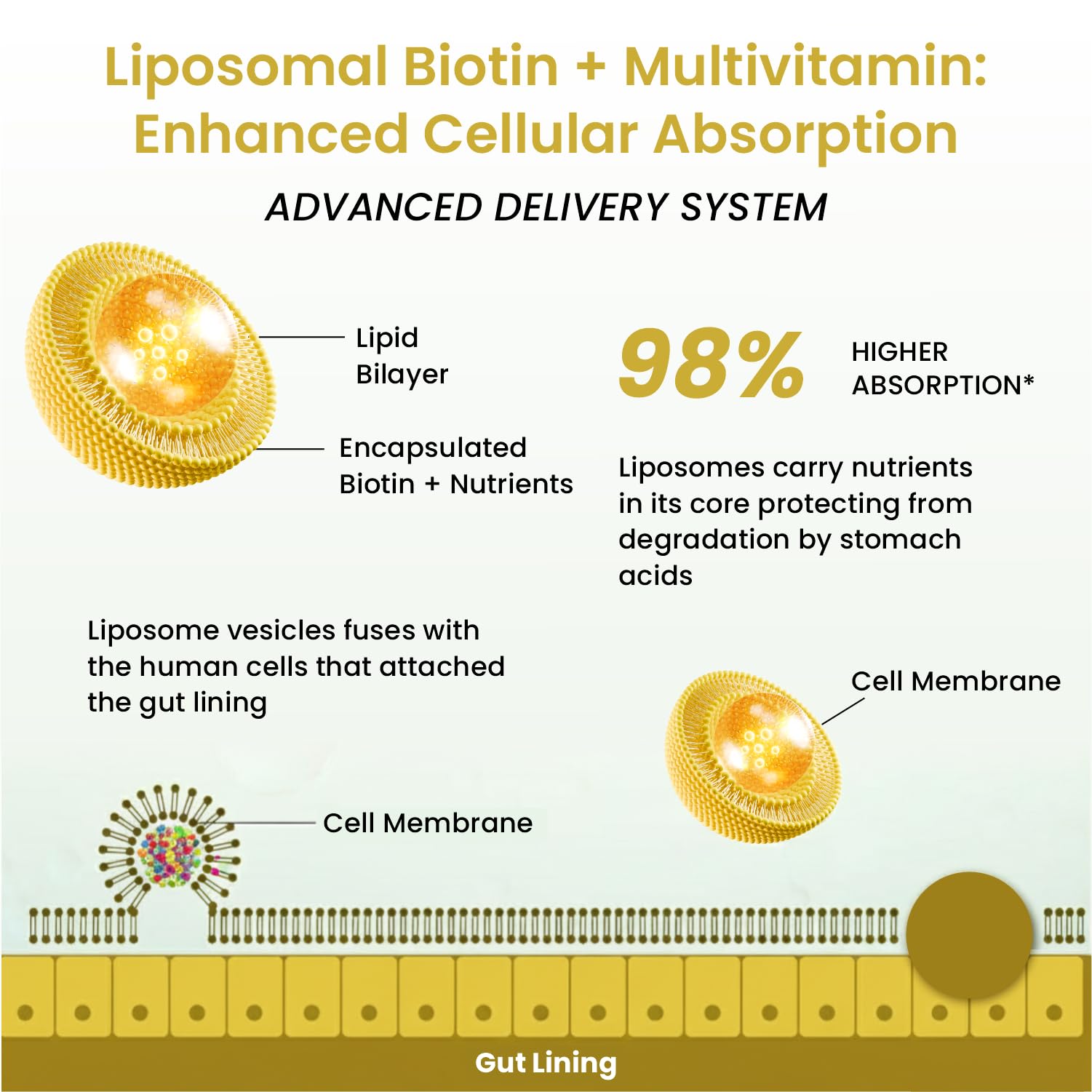 Vlado’s Himalayan Organic Biotin 10000 MCG Supplement For Men And Women With Amino Acids+Multivitamin+Multimineral For Healthy Hair, Skin & Nails -120 Vegetarian Tablets — Amazon image 7
