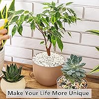 Vista 7 de Piedras negras suculentas y cactus de 2 libras, piedras pulidas decorativas naturales de 3/8 pulgadas, rocas de río para plantas