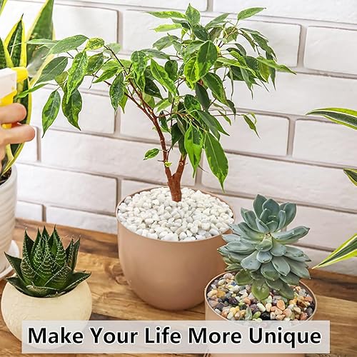 Miniatura 7 de Piedras negras suculentas y cactus de 2 libras, piedras pulidas decorativas naturales de 3/8 pulgadas, rocas de río para plantas