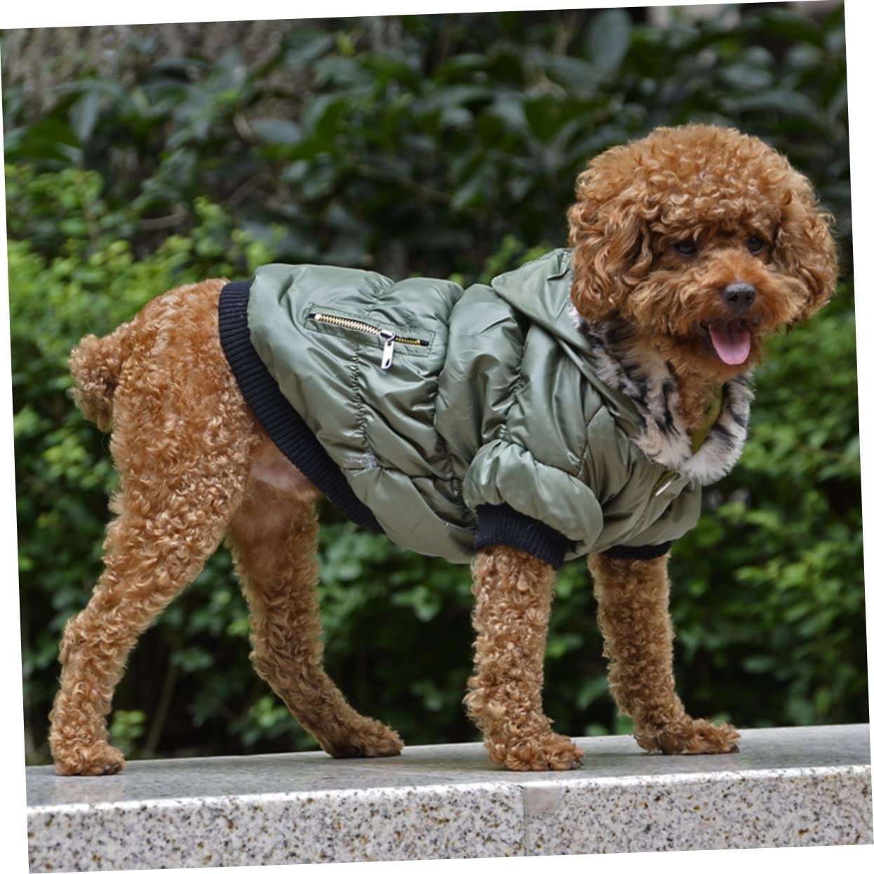 Sosoport 3pièces Manteau pour Chien Hiver Doublé Chaude Et pour Chiens XS Vêtement De Vert pour Animaux De Compagnie