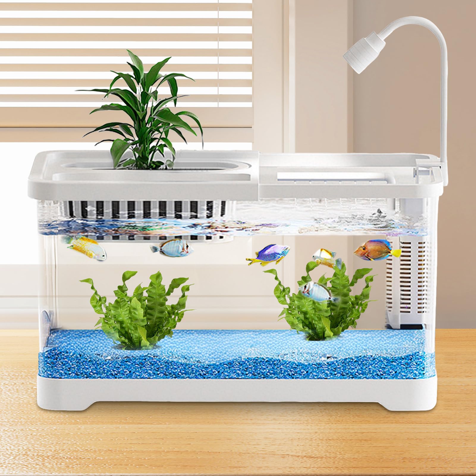 Betta Fish Aquarium, mały zestaw akwariów, przezroczysta miska krajobrazowa, podajnik do akwarium, krewetka, gupik, ślimak, żółw, , akwarium dla początkujących, mieszkanie, do użytku domowego