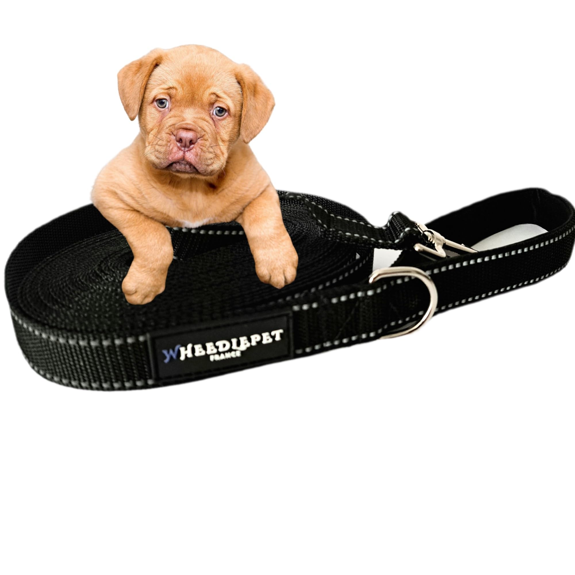 Cordón para perro de 10 m | Correa larga ideal para el entrenamiento, la educación y el aprendizaje de comportamientos | Correr o entrenar para el canicross | Fácil fijación a un collar
