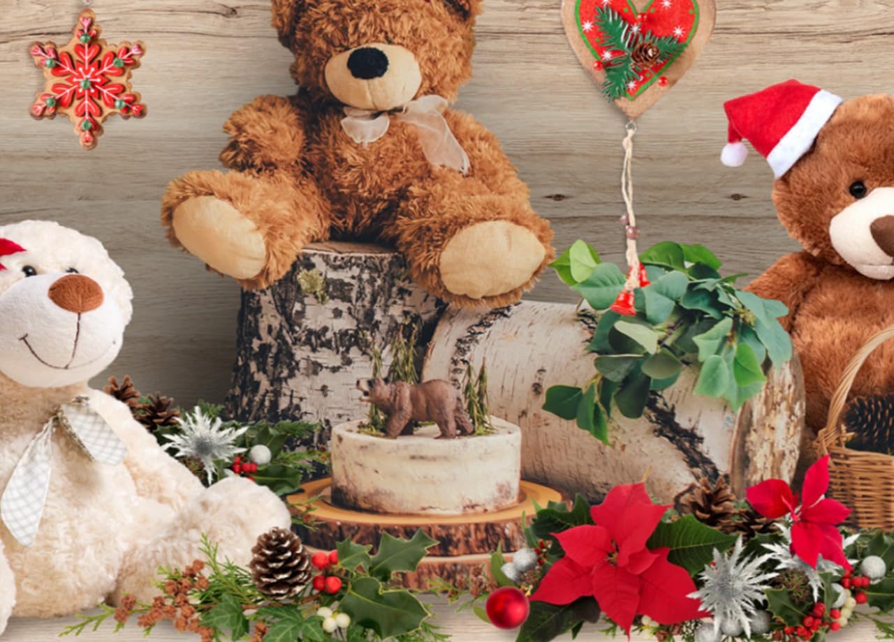 BIANCHERIAWEB Tappeto Natale Passatoia Cucina Antiscivolo Sottolavello Digitale Teddy Noel 50x320 Teddy Noel