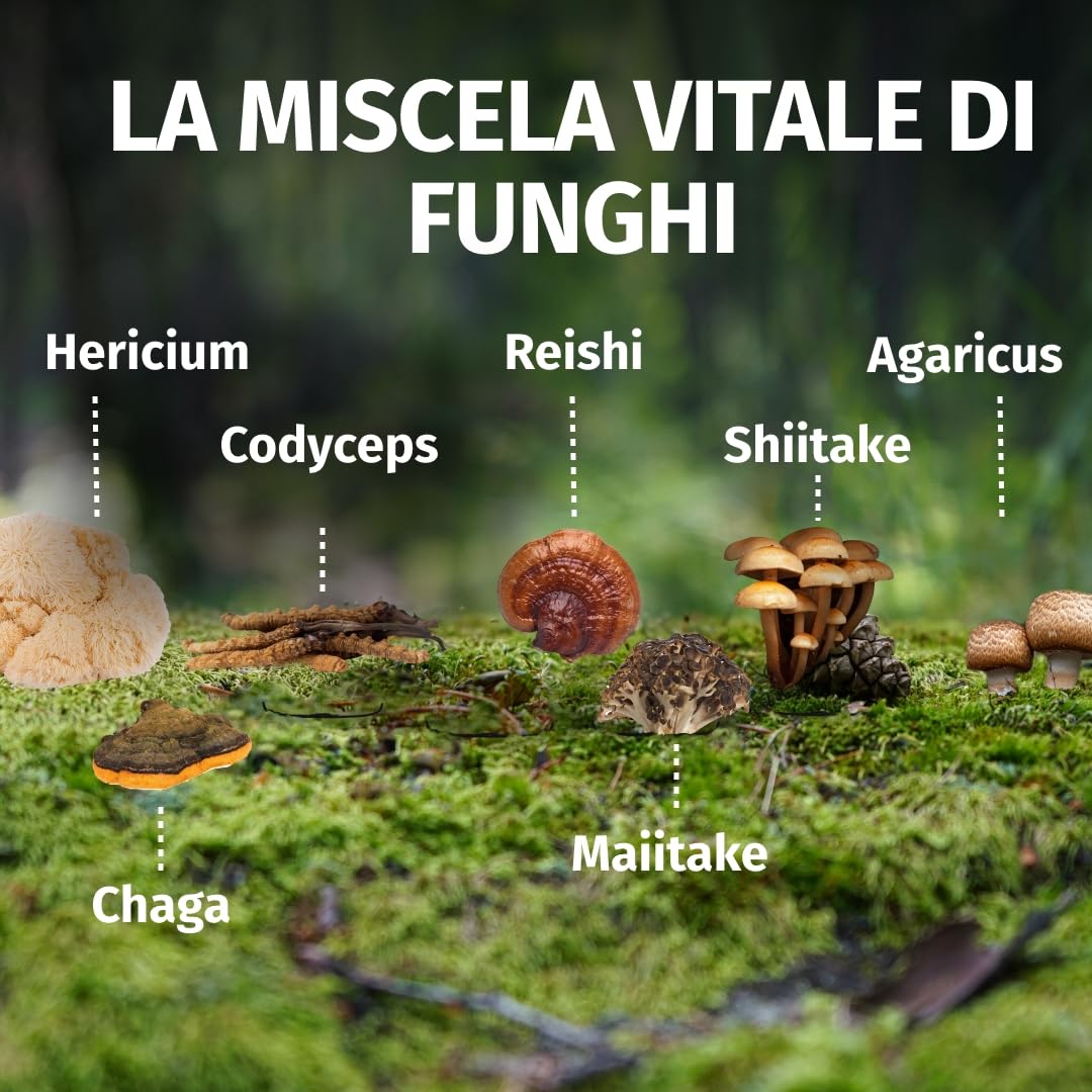 Green Naturals Complesso 7 Funghi Medicinali alta dose – 1 050 mg/dose (150 mg di Reishi, Cordyceps, Shiitake, Maitake, Hericium, Agaricus, Chaga) – vegano, senza additivi – 180 capsule