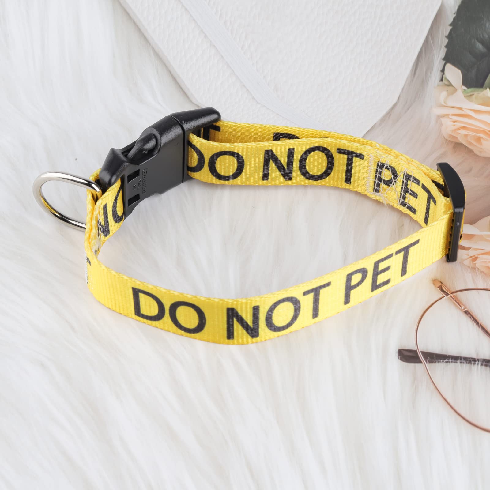 CENWA Reactive Hundehalsband – Warnaufdruck „REACTIVE! NICHT HAUSTIEREN“, Gelb, Polyester, Für Halsumfang 30–47 Cm, 2,5 Cm Breit