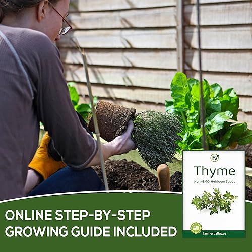 Miniatura 5 de Paquete variado de semillas de hierbas más populares, cultivadas en Estados Unidos, 100% sin OMG y semillas tradicionales para plantar en