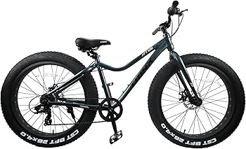 Amazon.co.jp: TRINX(トリンクス) ビーチクルーザー 【ファットバイク