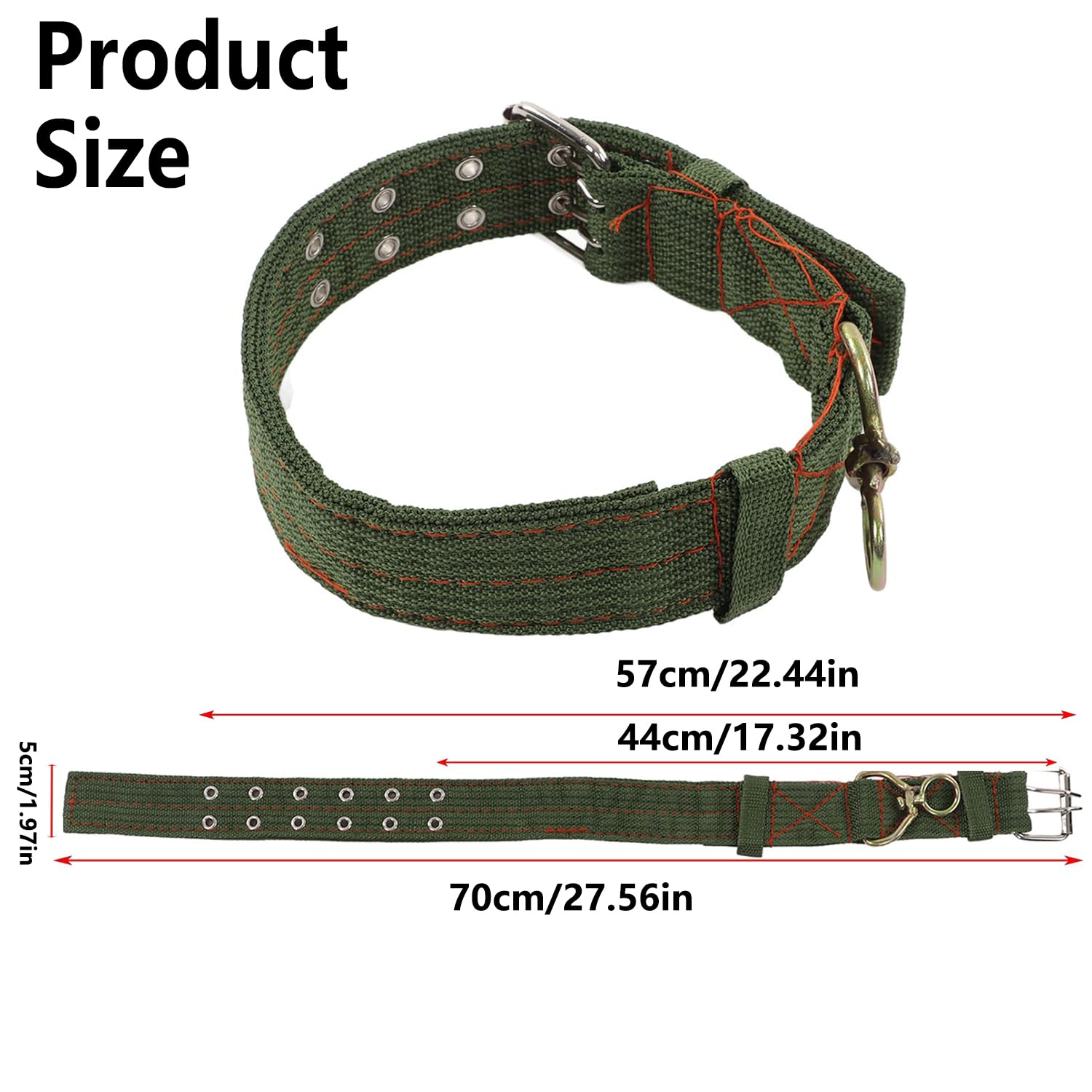 Vind de perfecte hondenhalsband voor jouw beste vriend