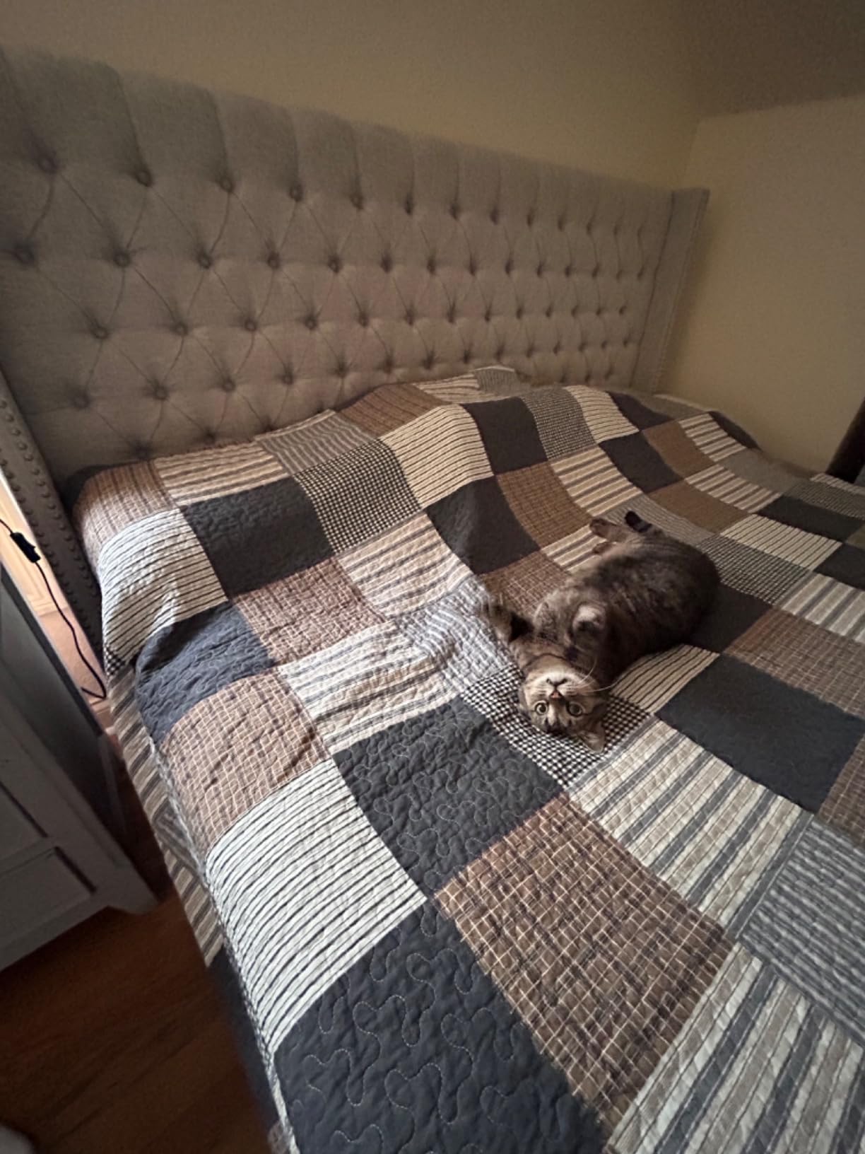 Customer review photo
