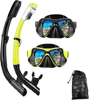 Snorkeling Gear for Adults Snorkel mask Set Scuba Diving mask Dry Snorkel Swimming Glasses Swim Dive mask Nose Cover Youth Diving