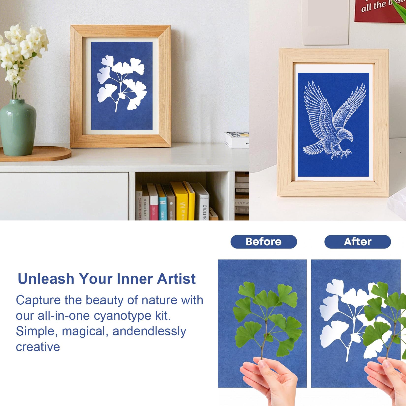 View 6