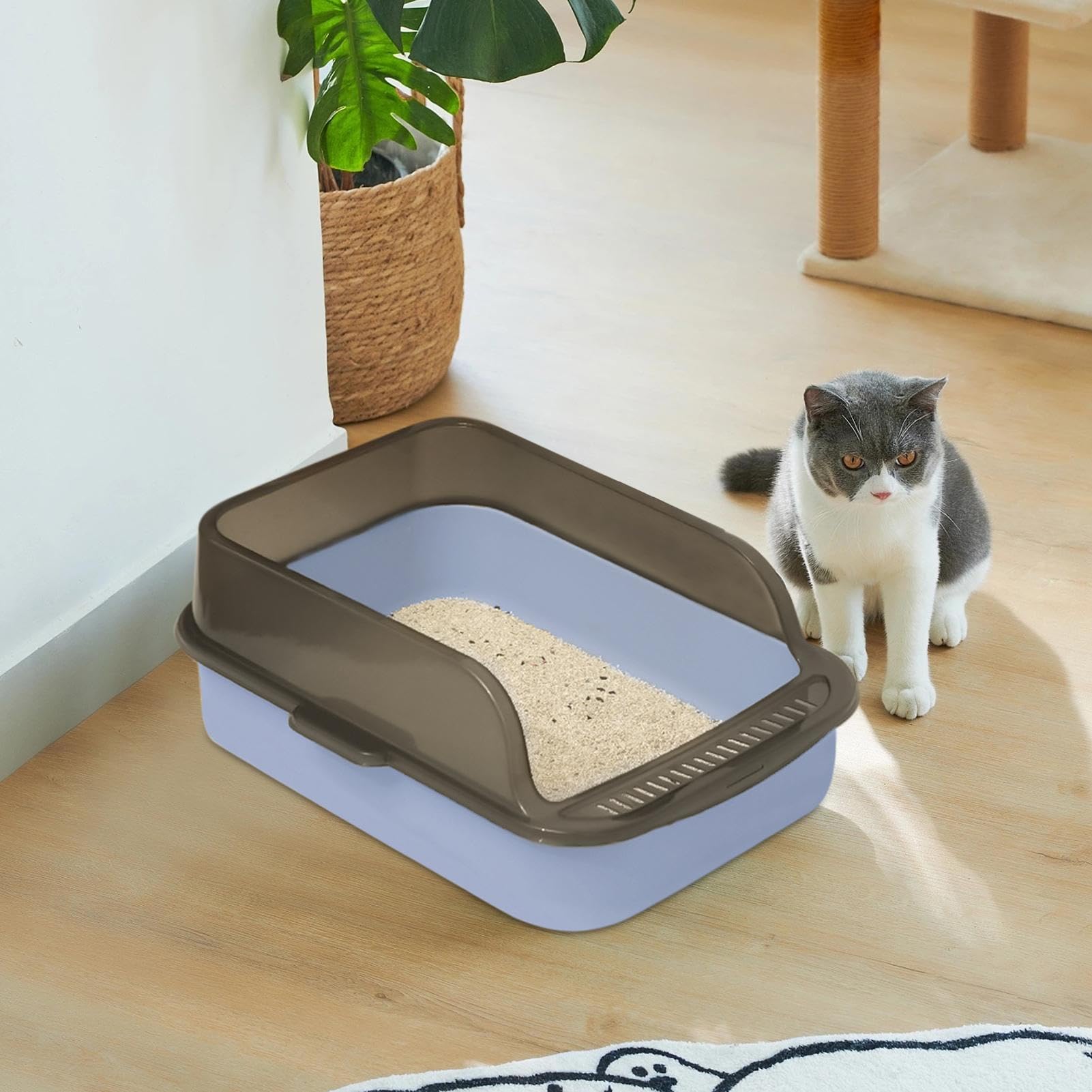 Lettiera Per Gatto Aperta Grande - Toilette Igienica Per Gattini Facile Da Pulire, Lettiera Con Bordo Rialzato, Cassettina Anti-Schizzo | Lettiera Con Facciata Alta Per Gatti Domestici, Box Gatto Cont
