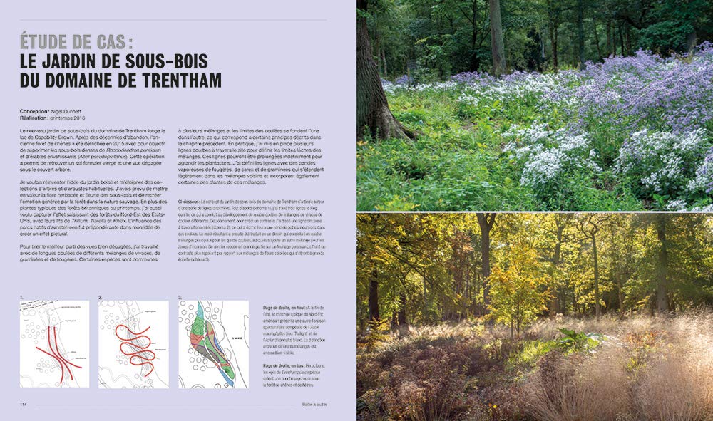 Plantations naturalistes - Introduire la nature dans les espaces verts et les jardins