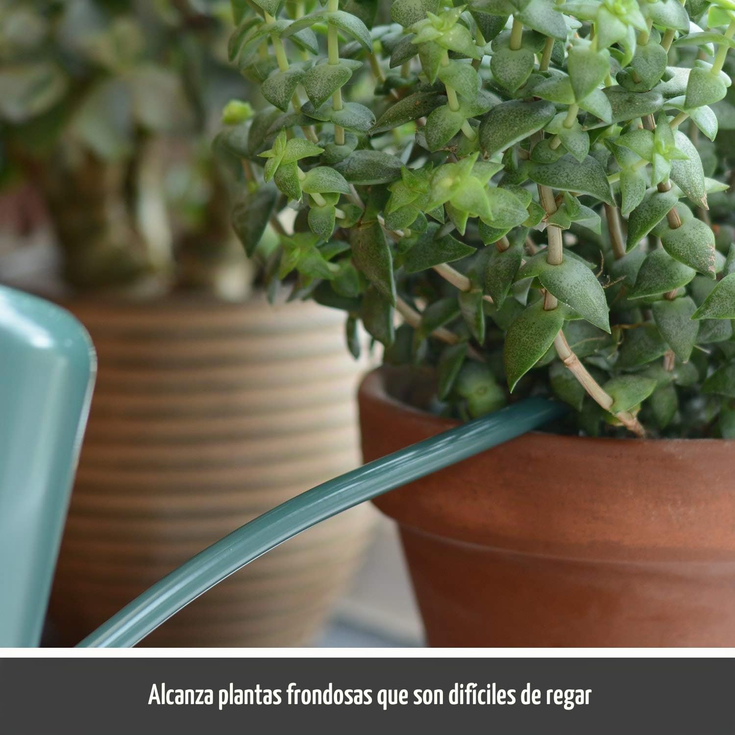 CKB Ltd® Regadera de interior pequeña de 1,1 L, acero galvanizado con recubrimiento en polvo de color verde oscuro, para plantas de interior, diseño contemporáneo de metal con boquilla estrecha y