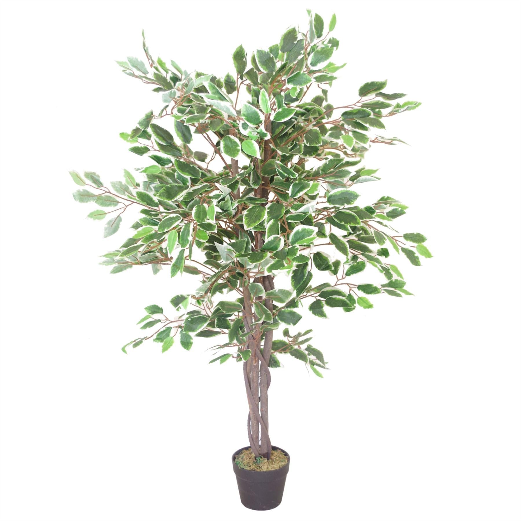 Botanik White Edge Twist Artificial Office Plants