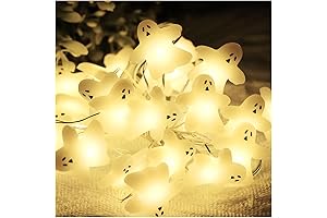 10FT 30 LED Ghost String Lights with Timer
