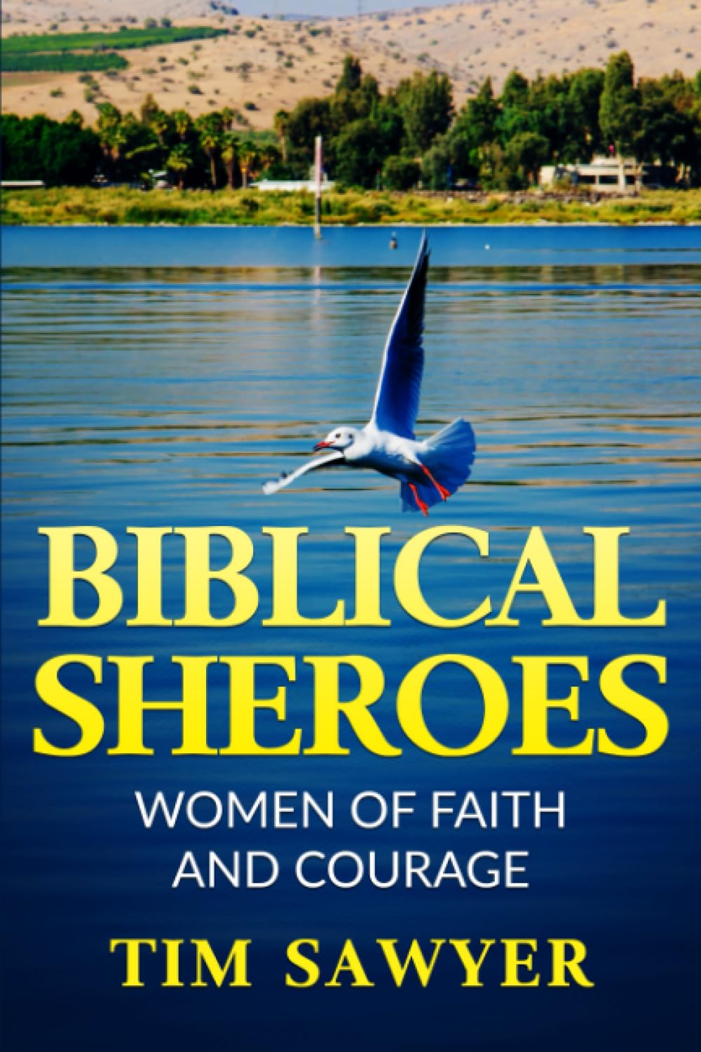 BIBLICAL SHEROES: WOMEN OF FAITH AND COURAGE: 7 (Biblical Characters)