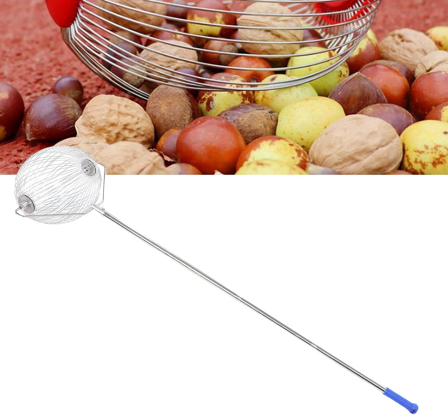 HEEPDD Nut Gatherer, Picks for Collecting Acorns Walnuts and Balls, Lightweight Durable Design for Outdoor Use Nut Gatherer, Stainless Steel Roller Tool Nan Gardening