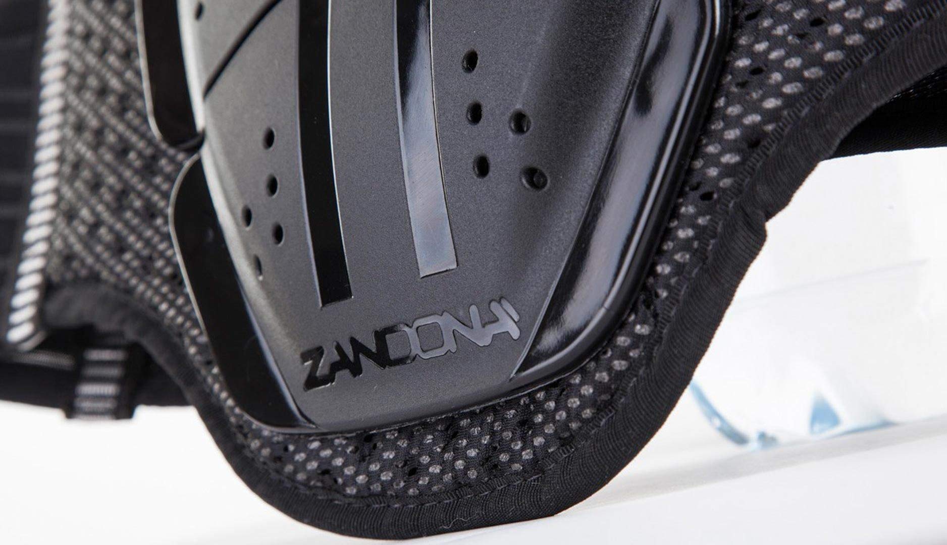 Zandonà Protección Dorsal Shield Evo X5