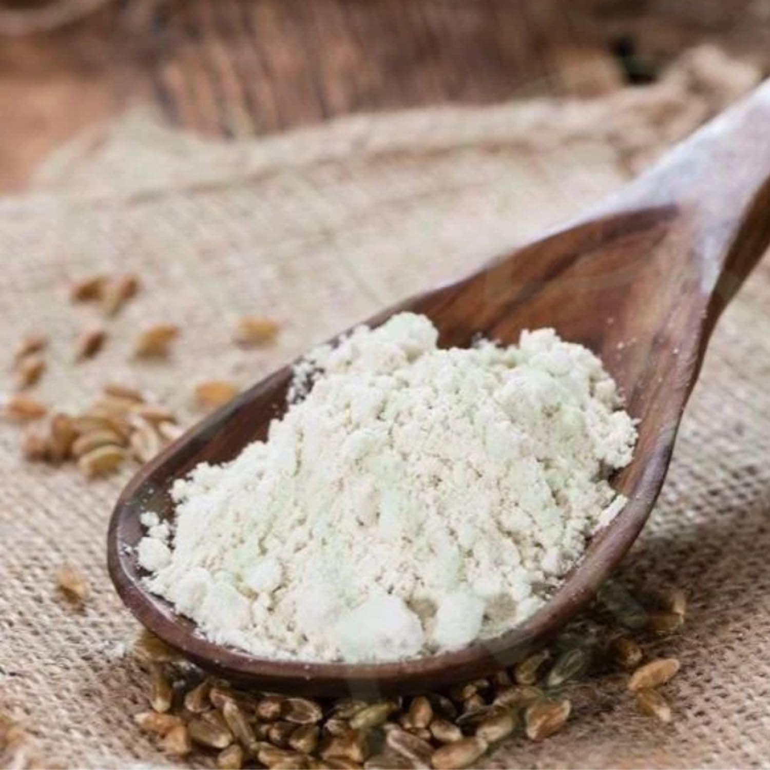 Bongiovanni Bontà Naturali Farina di Farro Spelta Integrale 25Kg BIO