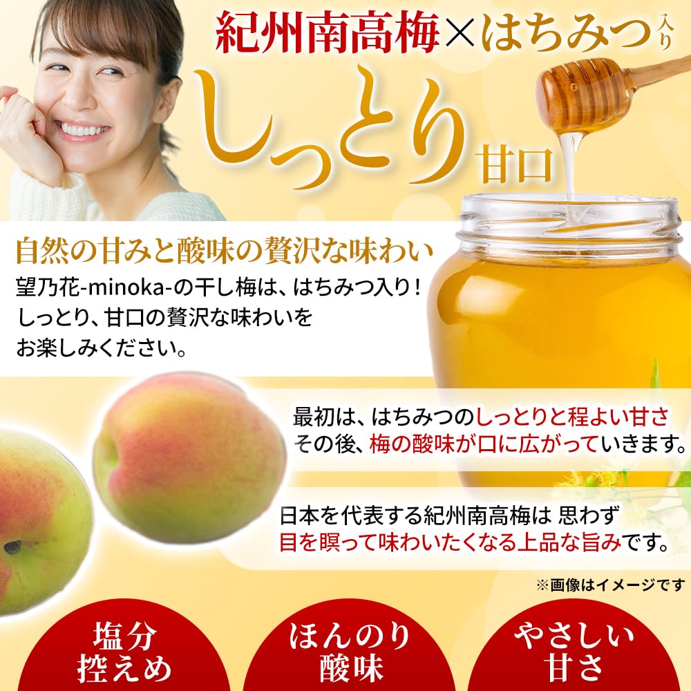 Amazon | 【望乃花-minoka-】 しっとり甘い 国産 種なし干し梅