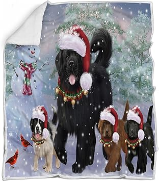 Review Doggie of the Day Newfoundland Dogs Blanket – Christmas Running Family – Super Soft & Warm Pet Theme for Sofa or Bed, Warm Fleece, Sherpa or Woven Material, BLNKT54006 (30×40 Fleece)