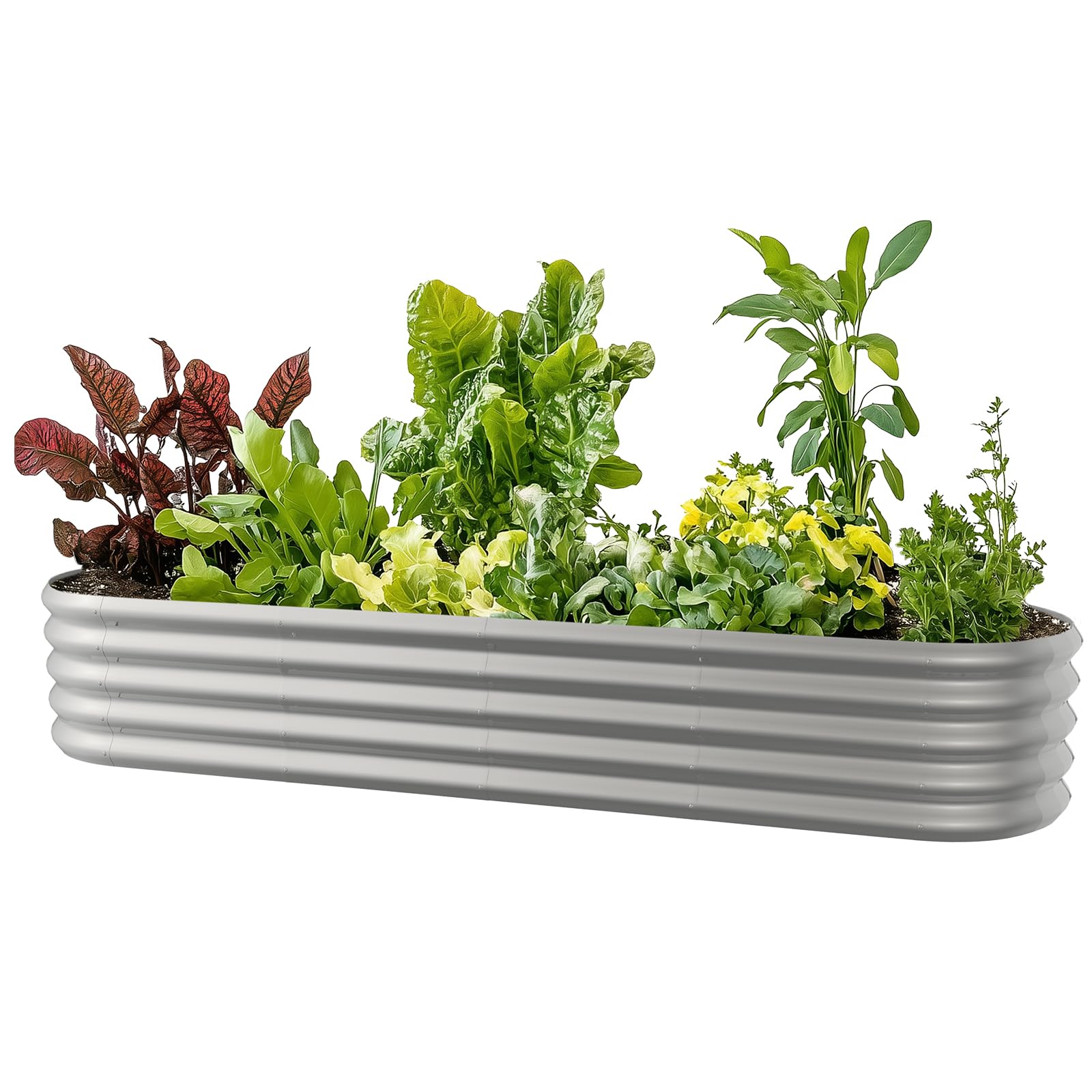 IDEA FAMILY 8x2ft Oval Galvanized Raised Garden Bed Kits 16" Tall Outdoor Large Metal Modular Planter Box 9-in-1 Raised Beds for Gardening,Vegetables,