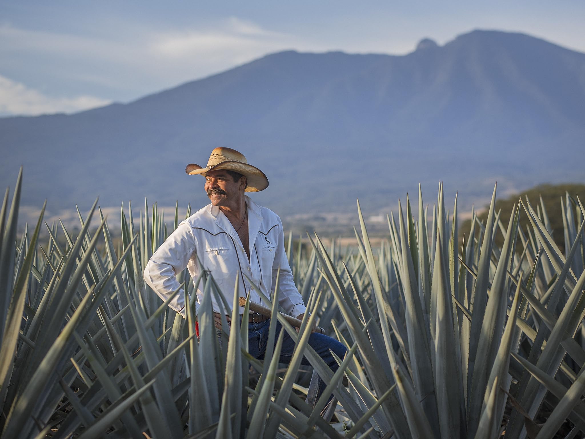 Jose Cuervo Reserva de la Familia Platino 70cl – Tequila super premium, non invecchiato. 40% vol