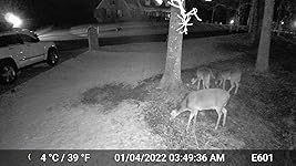 Review Image by MoonTimber MoonTimber