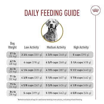 ドッグフード  CANIN Golden Retriever 12kg Amazon.com: Royal Canin Breed Health Golden Retriever Adult