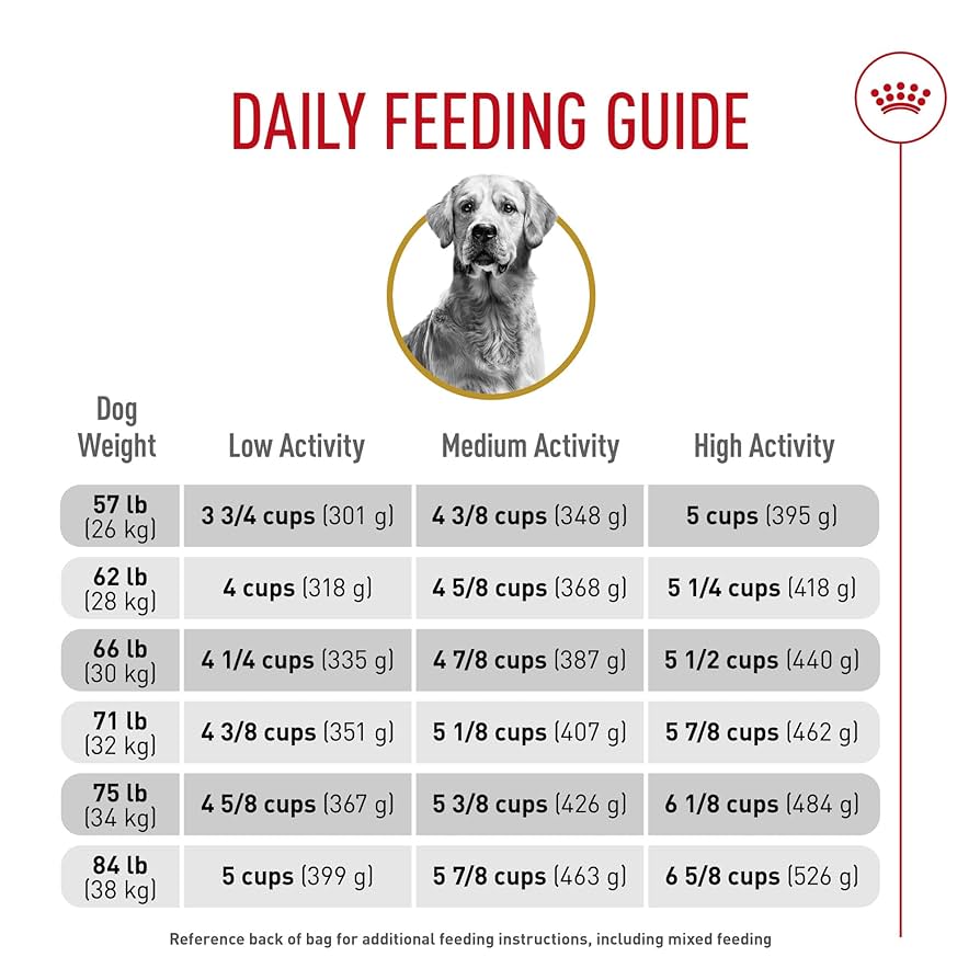 2個セット CANIN Golden Retriever 12kg Amazon.com: Royal Canin Breed Health Golden Retriever Adult