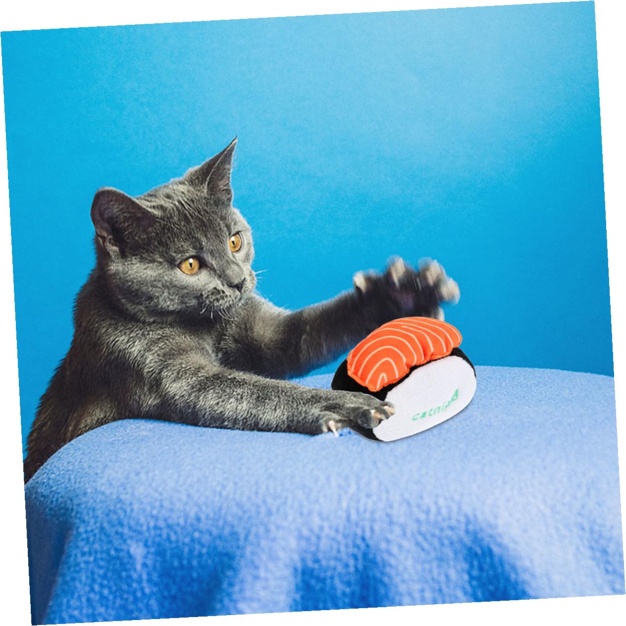Yardwe 9pièces Jouets Peluche Catnip pour Chat Jouets à Mordre Squeaky Et Molar pour Kittens De Sushi Coquille Crevettes