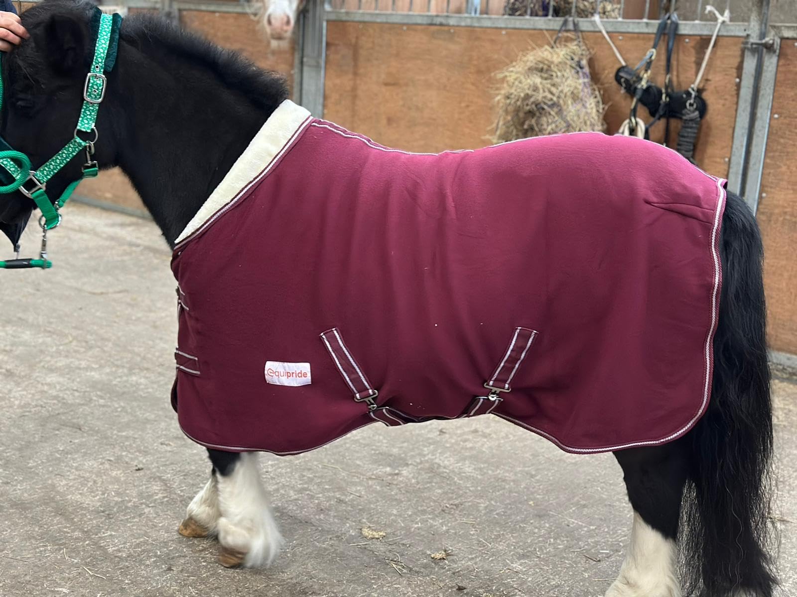 Countrypride Horse Show Rug Fleece Travel Rug with Faux Fur Collar 4'6" to 6'9" Wine Red