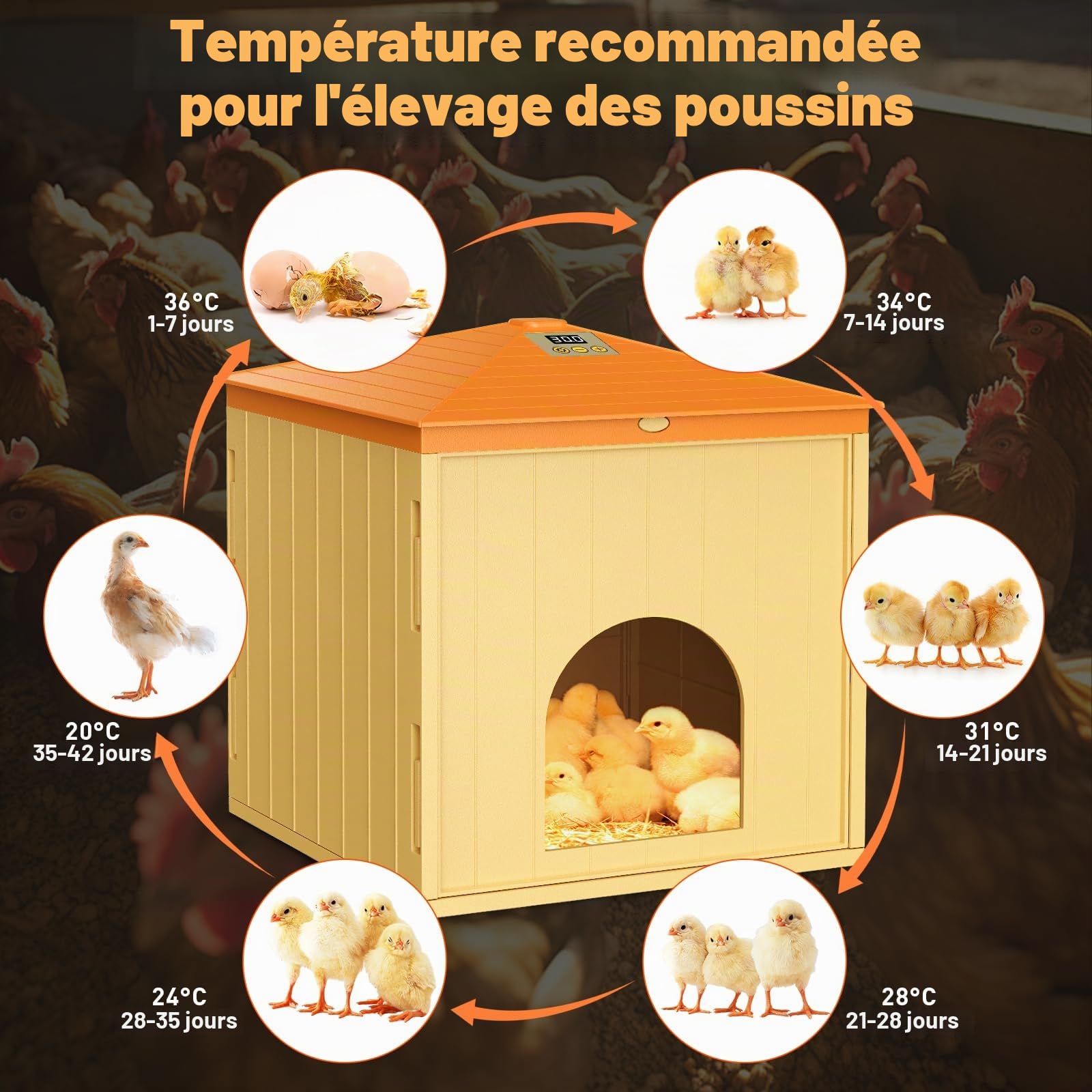 360°Plaque Chauffante pour Poussins, 65W Plaque Chauffante Poussin, Panneau Chauffant Pour Poulets 10-52℃, Hauteur Température Réglable, pour Poules, Chatons, Animaux Domestiques