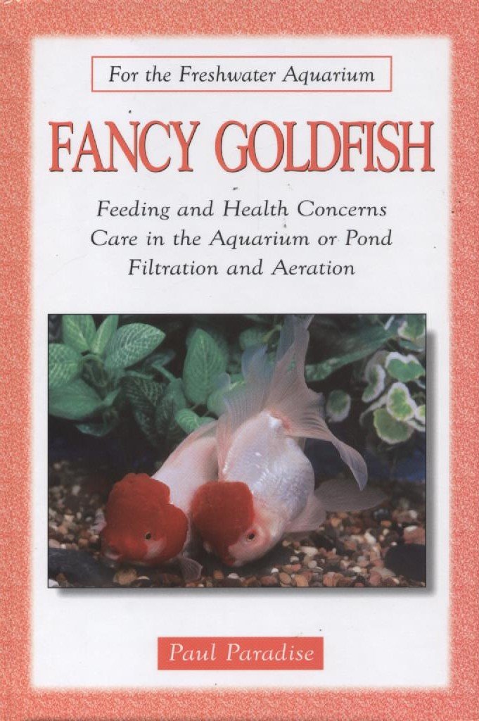 Fancy Goldfish