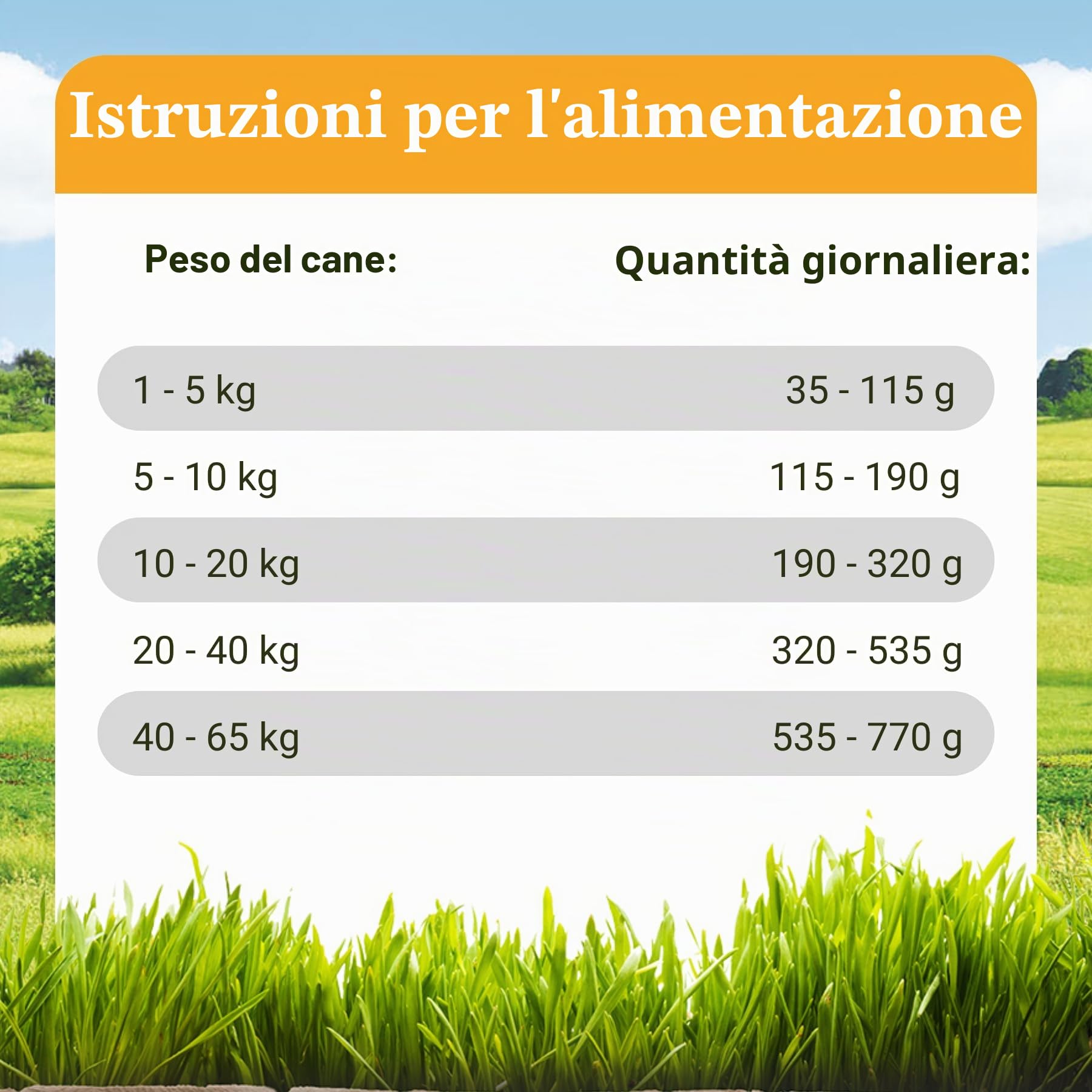 Bellfor Landgut-Schmaus Cibo secco ipoallergenico con insetti - 7,5 kg. Crocchette senza cereali, ricche di acidi grassi omega-3, vitamine naturali, minerali (oligoelementi) e antiossidanti