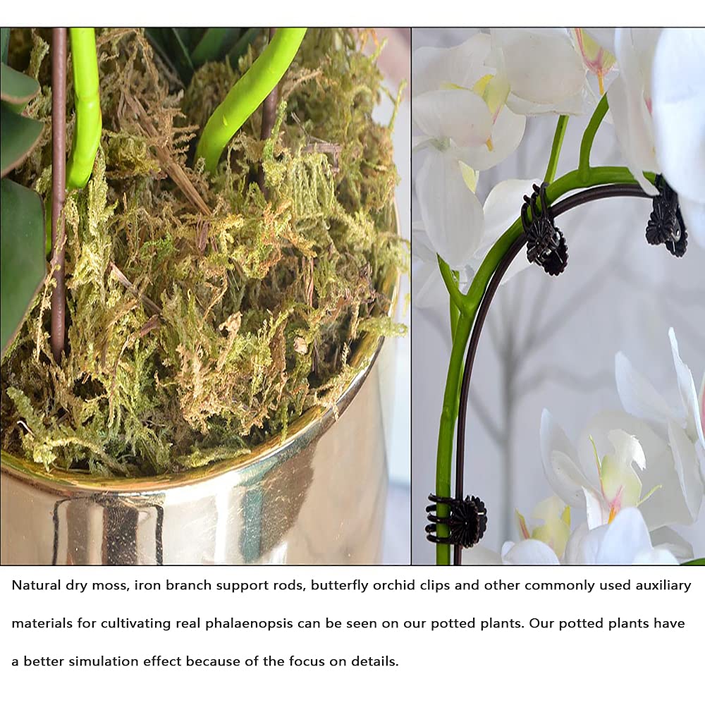 Rośliny doniczkowe Phalaenopsis, realistyczny efekt dotykowy, symulacja kwiatów pasujące wazy ceramiczne, odpowiednie na meble weselne, biurka, dekoracje domowe, A4