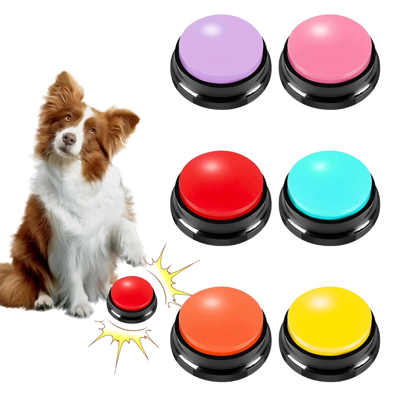 Boutons de dressage de chien pour la communication sonore et l'apprentissage canin