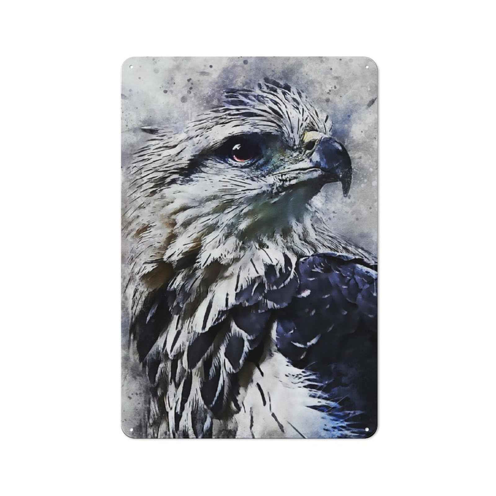 Junmoney Paint Eagle Vintage Metal Plaque 30X20cm For Living Room Or Hallway, A Christmas Gift For People Styling Living Room And Hallway