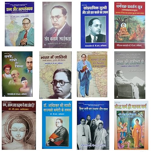Vangmay Sets of 12 Books Hindi Dr. B.R. Ambedkar (आंबेडकर वांग्मय 12 पुस्तकों का सेट हिन्दी)