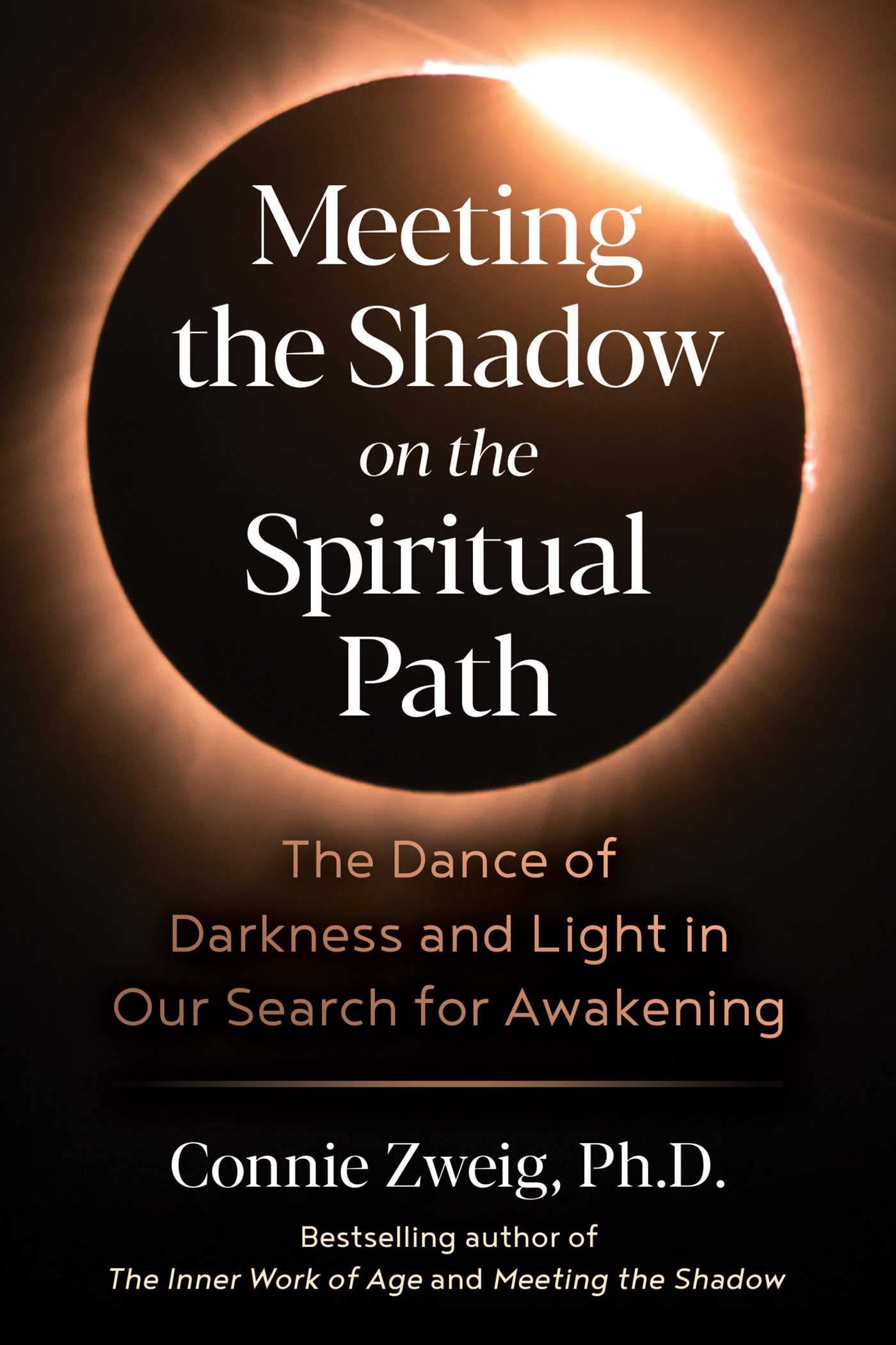Meeting the Shadow on the Spiritual Path: The Dance of Darkness and Light in Our Search for Awakening Paperback – 22 Jun. 2023