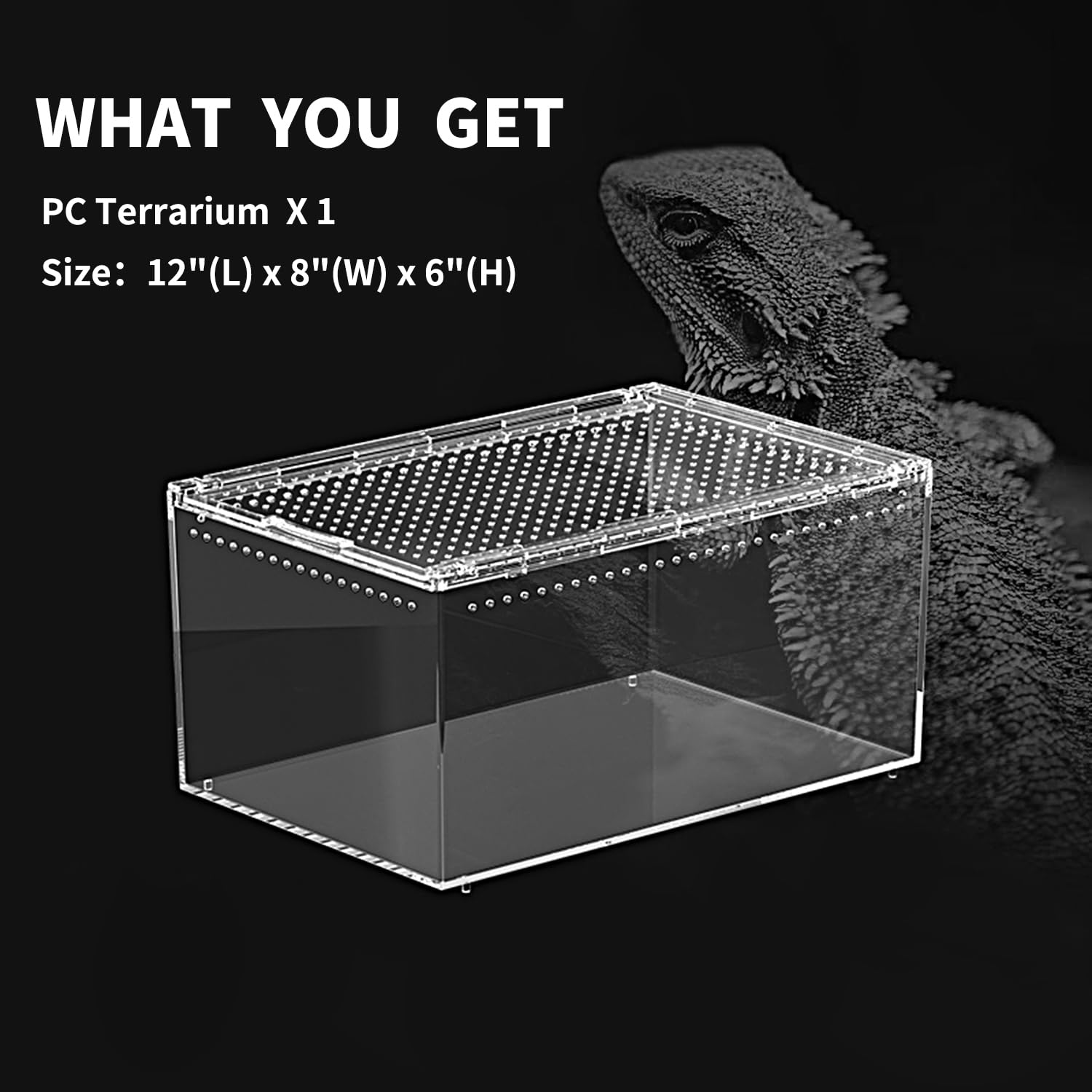 Terrario per rettili PC 30,5 x 20,3 x 15,2 cm, recinzione per tarantola, kit di avviamento per serbatoio di ragno, habitat di granchi eremiti, recinzione lucertola, custodia per insetti, gabbia per