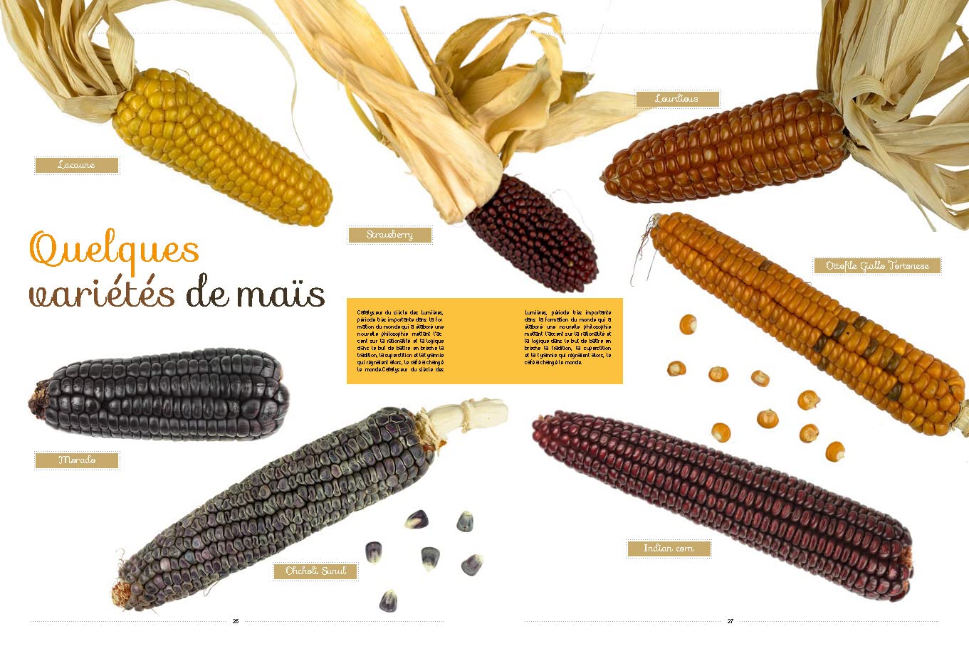 Graines: Tous les savoirs, toutes les histoires, tous les pouvoirs, tous les espoirs