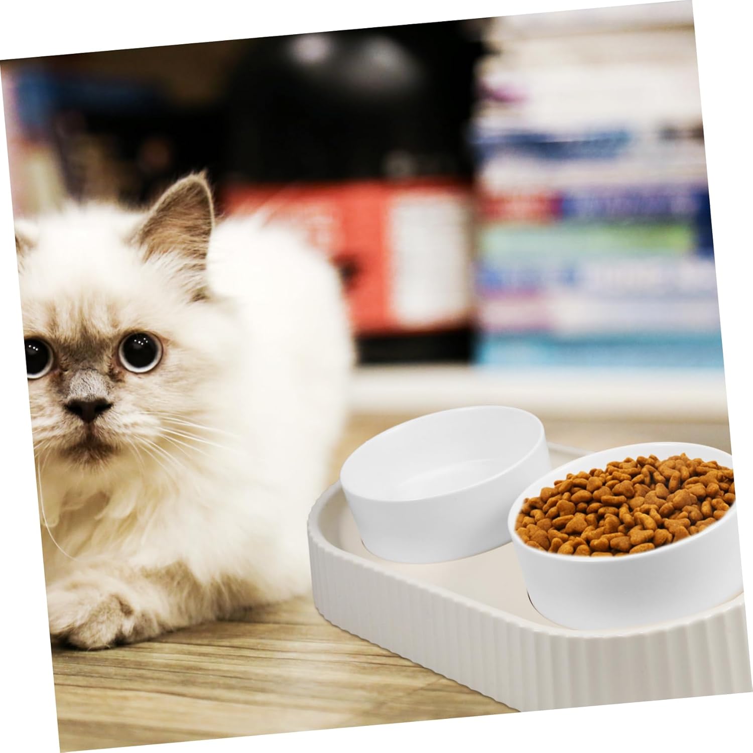1Set Elevated Cat Bowl Comfortable Feeding Wide Design Material for Stability Prevents Spills for Cats Dogs