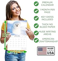 Vista 830 de Razas de Perros 2017