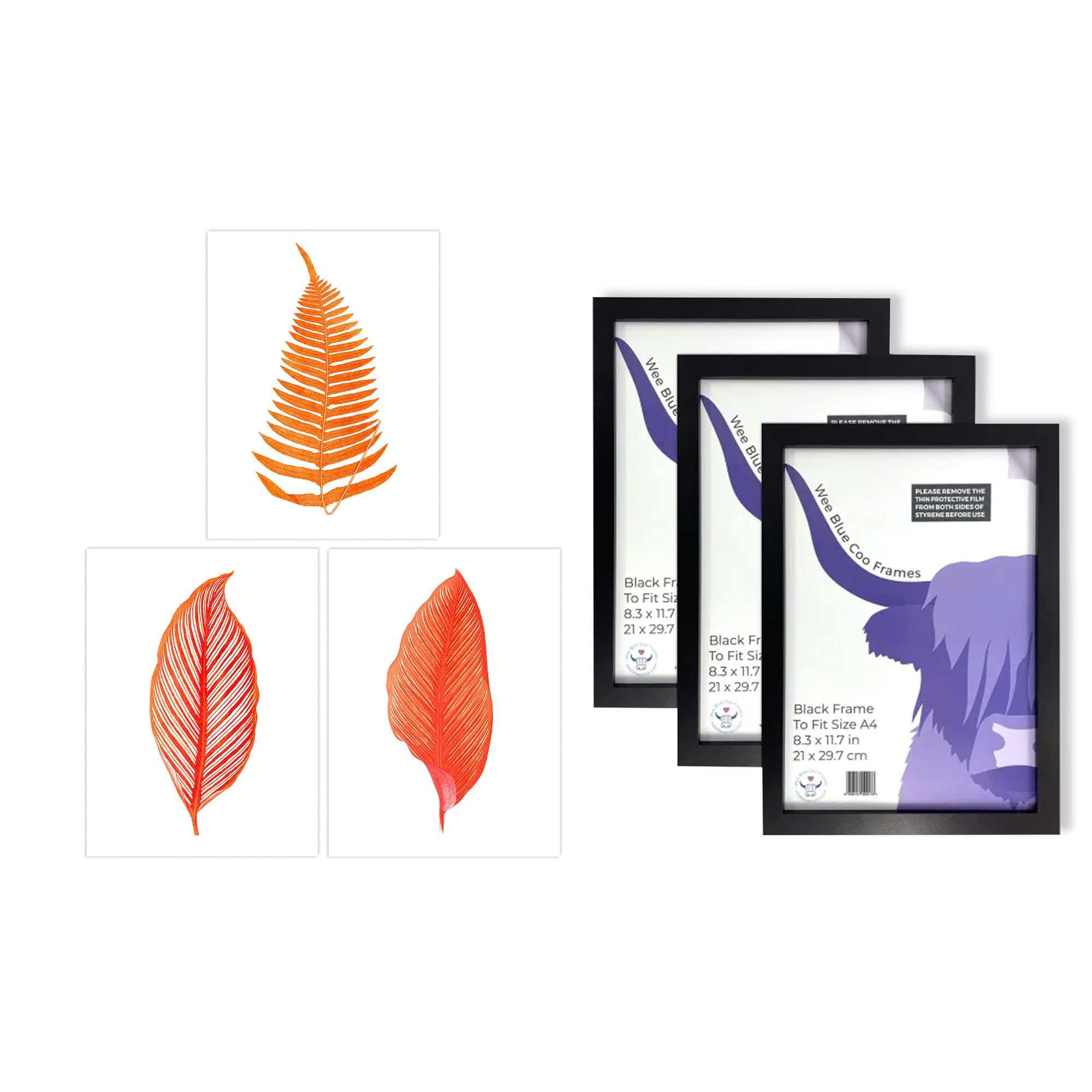 Artery8 Orange Plants Wall Art - Set of 3 A4 Sized Art with Black Frames - Elegant Fern Frond Tree Bright Orange Leaf Detailed Foliage Botanical